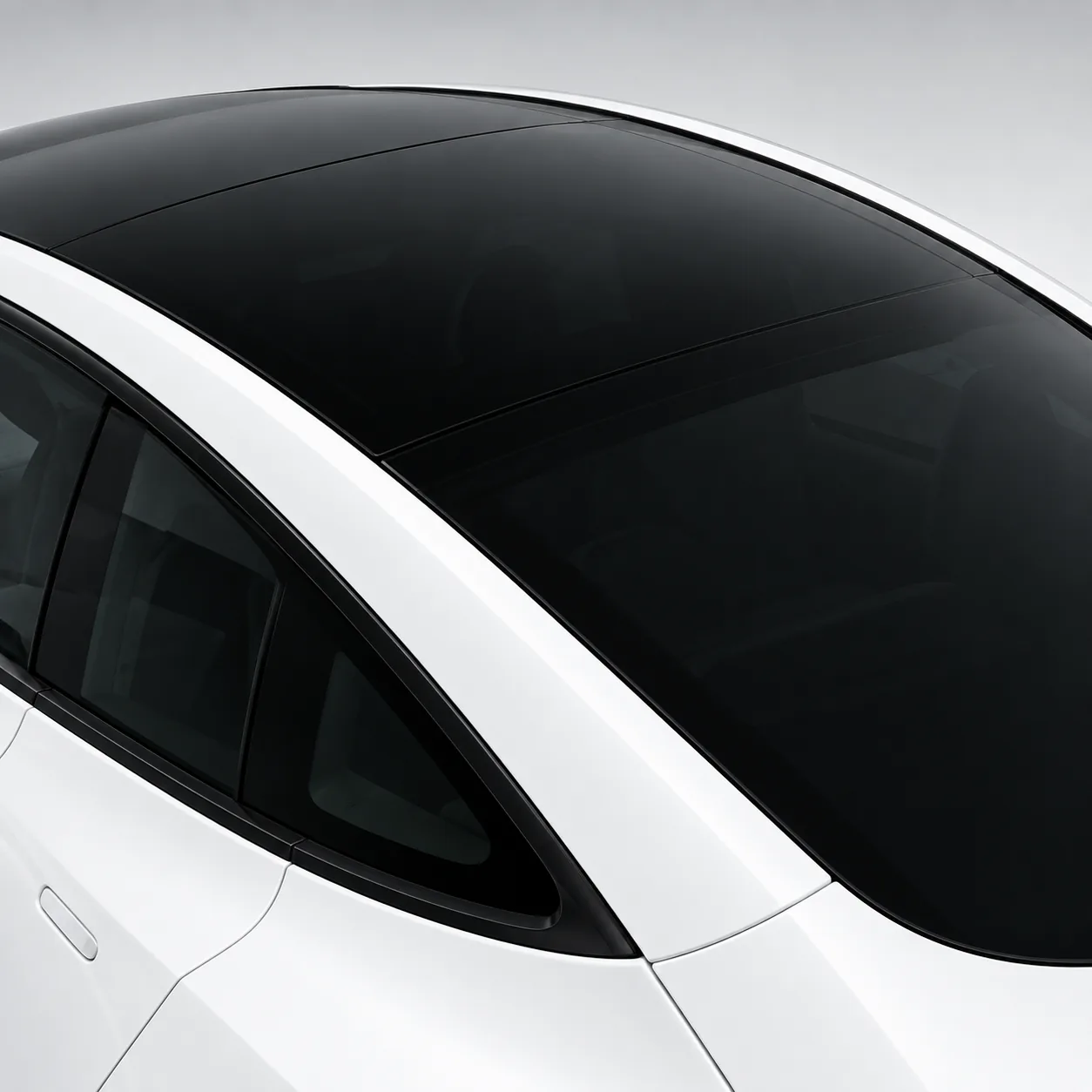 upper canopy detail on a Tesla wrap