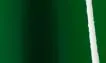Dark Green Gloss vehicle wrap swatch