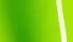 Tropical Vacation Green Gloss vehicle wrap swatch
