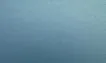 Frosty Blue Matte Metallic vehicle wrap swatch